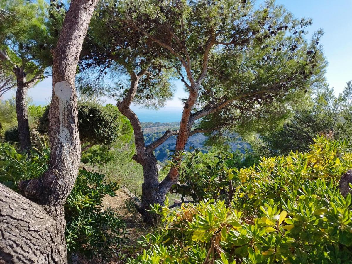 Sweet Calanque - Host Provence Apartment Cassis Bagian luar foto